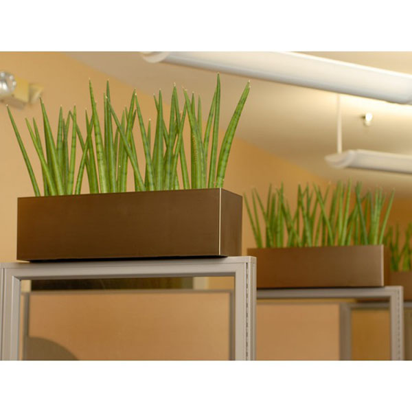 Cubicle Accessories  Cubicle Planter Partition