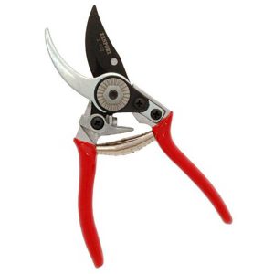 plant pruners