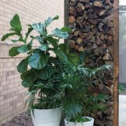 Lifestyle Planter