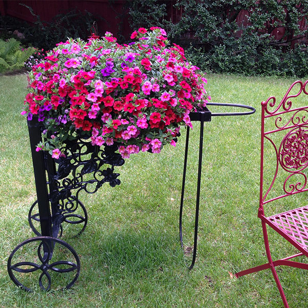 Calibrachoa on Metal Plant Stand