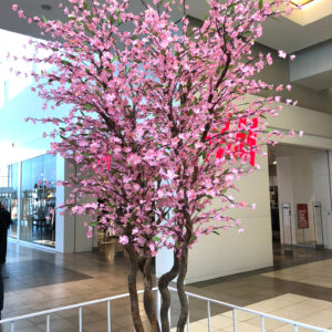 Cherry Blossom Tree