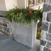 Fresh Pines in Planter