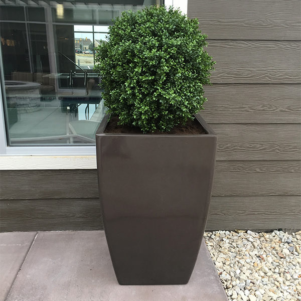 Outdoor artificial boxwoods