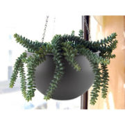 Hanging Planter