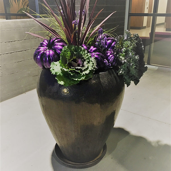 Fall Planters with Purple Pumpkins