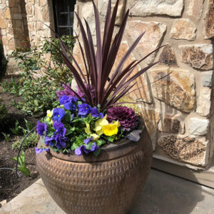 Spring Planters