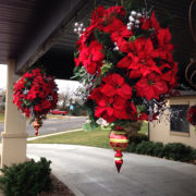 Poinsettia Baskets