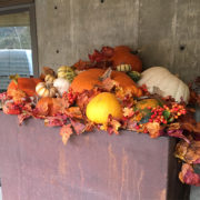 Autumn Pumpkin Arrangement