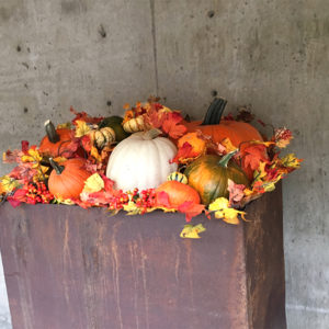 Autumn Pumpkin Planter