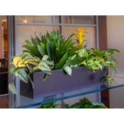 Contemporary Rectangle Planter