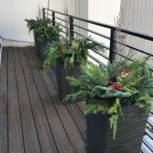 Winter Planters with Pines and Berries