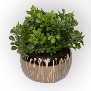 Artificial boxwood arrangement