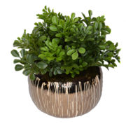 artificial boxwood arrangement