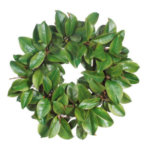 Magnolia Wreath 24"