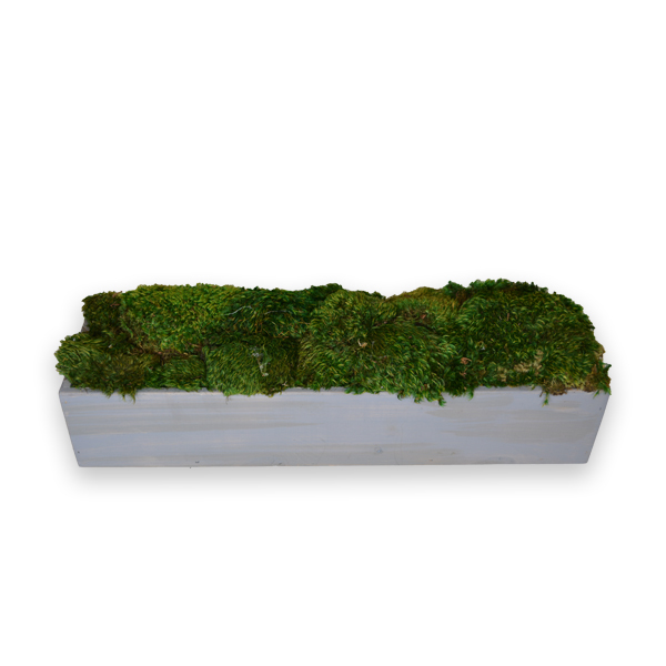 Moss Mound, Planter Rectangle ConcreteFaux Greenery, 6