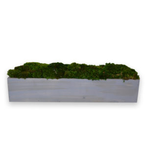 Rectangle Moss Planter