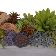 SucculentArrangement1Detail