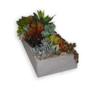 Artificial Succulent Arrangement