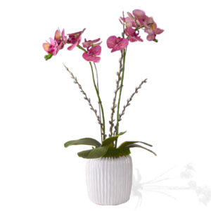 Pink Orchid Arrangement