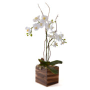 WhiteOrchidWood2