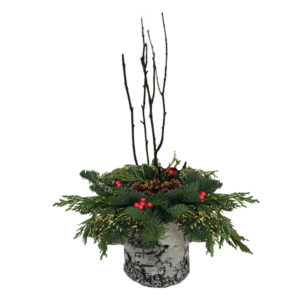 Tall Pine Arrangement