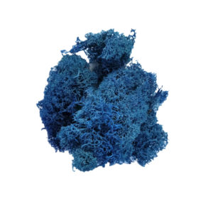 Royal Blue Reindeer Moss