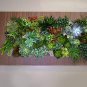 Wood Frame Succulent Wall