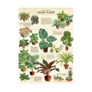 HousePlantPuzzle