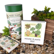 House Plant Desk Calendar