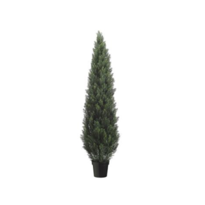 Cedar Topiary