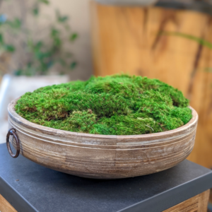 Rustic Moss Bowl